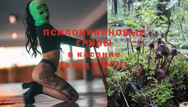 MDMA Premium VHQ Белокуриха